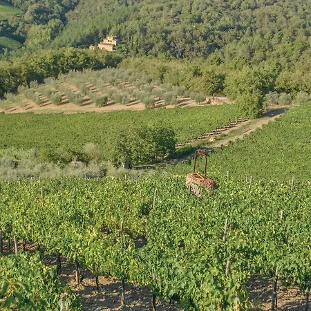 Apartamento Pratinovi